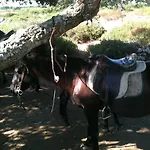 Su Nuraxi 3* Barumini