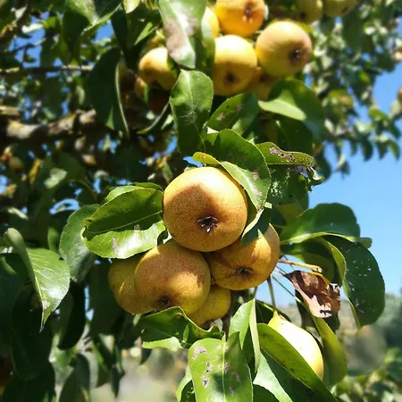 Su Nuraxi 3* Barùmini