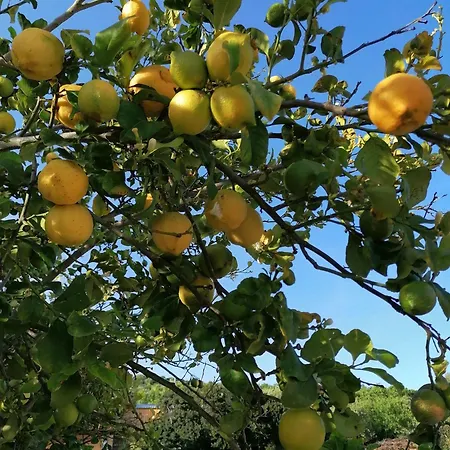 Su Nuraxi Ξενοδοχείο Barùmini