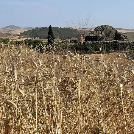 Su Nuraxi Barumini