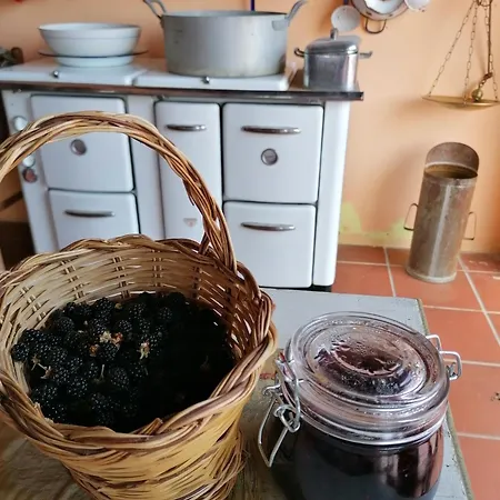 Su Nuraxi Ξενοδοχείο Barùmini