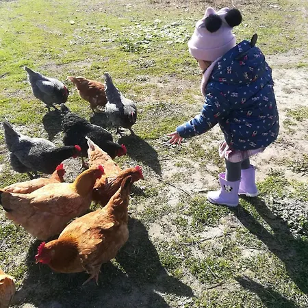 Su Nuraxi Ξενοδοχείο Barùmini