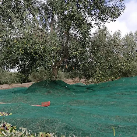 Ξενοδοχείο Su Nuraxi 3*