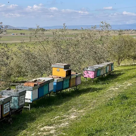 Su Nuraxi Barumini