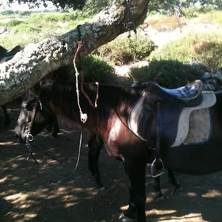 Su Nuraxi 3* Barùmini