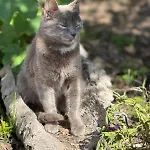 Su Nuraxi 호텔 3*