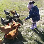 Su Nuraxi 호텔 바루미니