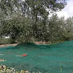 호텔 Su Nuraxi 3*